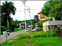 Omgeving Paramaribo - nr. 0001